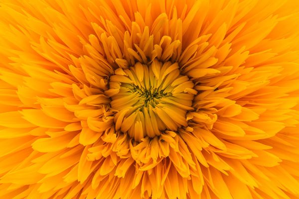 v2osk-pQ7GIGO6esE-unsplash